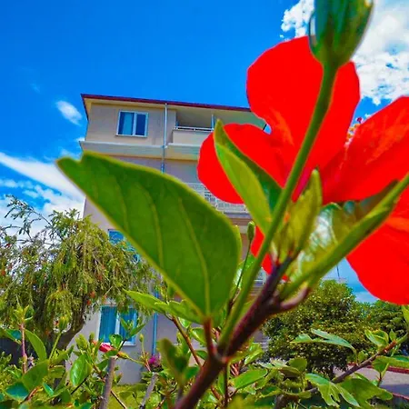 Club Wasa Village Hotel Toslak