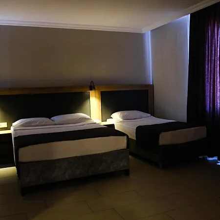 Club Wasa Village Hotell 4*
