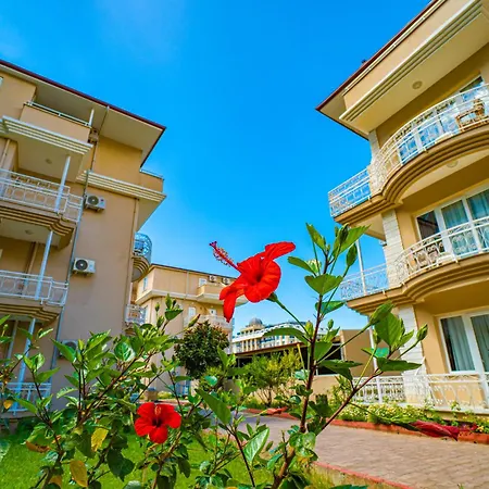 Club Wasa Village 4* Toslak