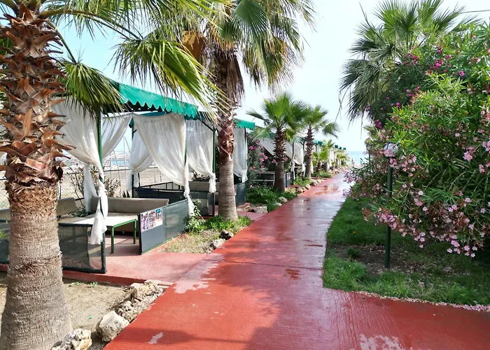 Club Wasa Village Hotell Toslak